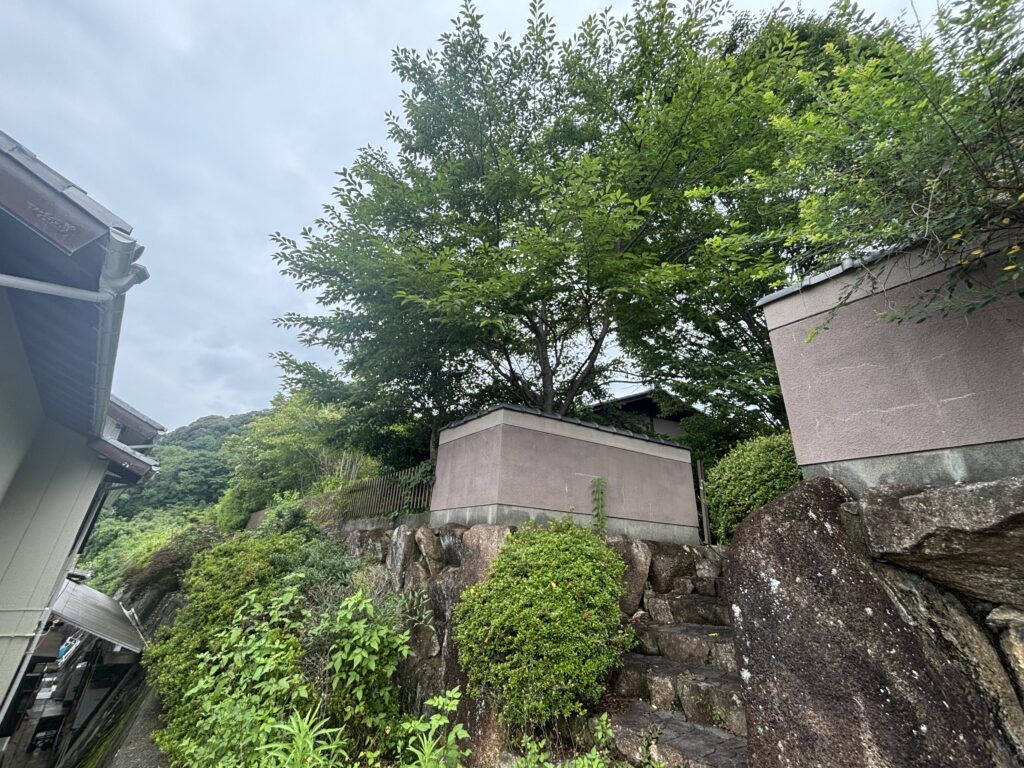 【浜松市浜名区細江町】剪定工事の現地調査へ伺いました